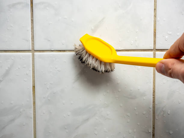 Best Industrial Mold Remediation in Madison Heights, VA