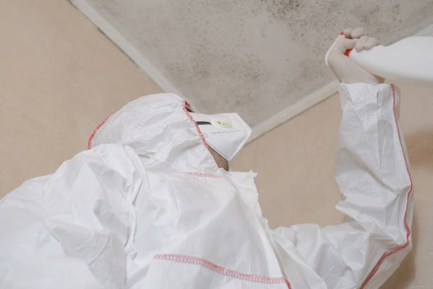 Madison Heights, VA Mold Remediation Company